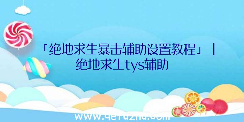 「绝地求生暴击辅助设置教程」|绝地求生tys辅助